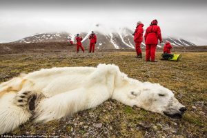 17 - 20 Photos Proving That We Are In Danger