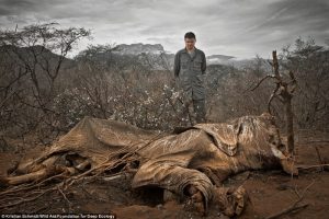 3 - 20 Photos Proving That We Are In Danger