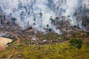 4 - 20 Photos Proving That We Are In Danger
