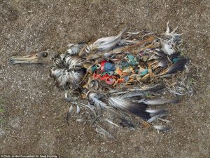 5 - 20 Photos Proving That We Are In Danger
