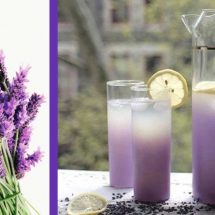 1 Simple Recipe That will Help You Get Rid of Anxiety and Headaches