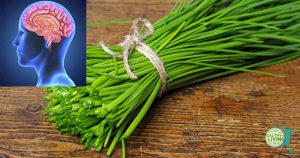 Chives - A Miraculous Herb That Protects Your Brain, Heart, Bones, and the Immune System