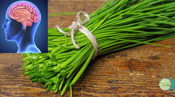 Chives - A Miraculous Herb That Protects Your Brain, Heart, Bones, and the Immune System