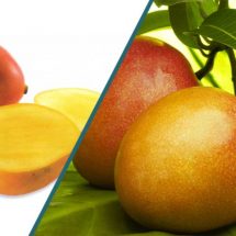 Reasons to Eat More Mangoes and the Best Way to Consume Them