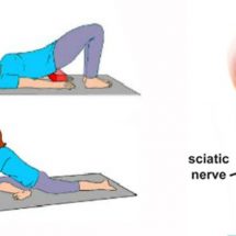 The 6 Best Exercises for Lower Back Pain and Sciatica Relief