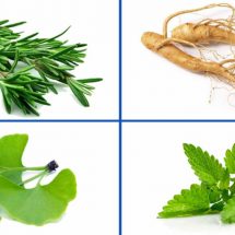 These 4 Herbs Can Protect Your Brain From Alzheimers, Depression, Anxiety And Much More