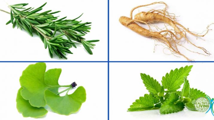 4 Herbs Powerful Enough to Help Prevent Depression, Alzheimer's, Anxiety, and More