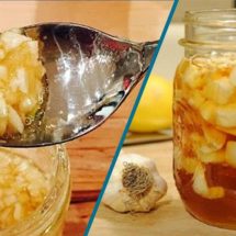 A Mixture of Garlic, Honey, and Apple Cider Vinegar for Many Health Benefits