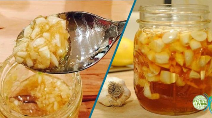 A Mixture of Garlic, Honey, and Apple Cider Vinegar for Many Health Benefits