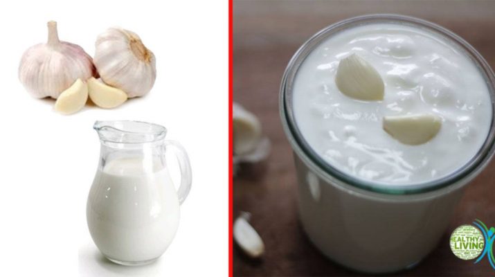 Garlic Milk Helps You Treat Many Diseases