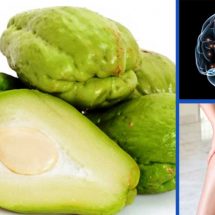 Reasons to Start Consuming Chayote Today!
