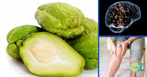 Reasons to Start Consuming Chayote Today!