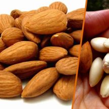 Top 5 Reasons to Eat More Activated Almonds