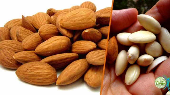 Top 5 Reasons to Eat More Activated Almonds