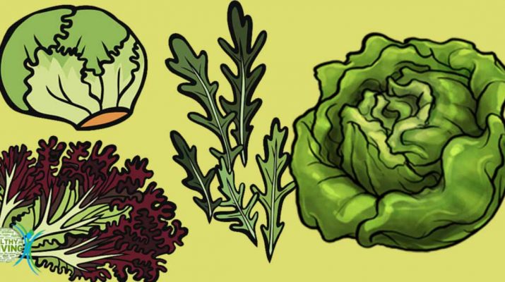 10 Reasons Why You Should Start Eating Lettuce Today