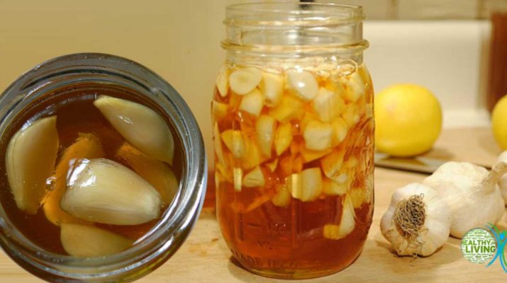 Honey, Garlic, and Apple Cider Vinegar Mixture for Obesity, Diabetes, and Indigestion