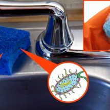 How to Get Rid of the Bacteria in Your Kitchen Sponge