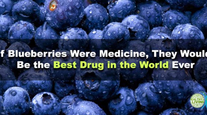 If Blueberries Were Medicine, They Would Be the Best Drug in the World Ever