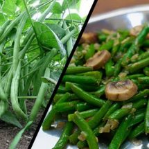 Start Eating Green Beans to Improve Heart Function and Cholesterol Levels