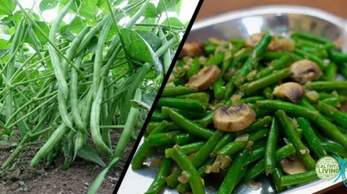 Start Eating Green Beans to Improve Heart Function and Cholesterol Levels