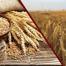 Stop Eating Wheat if You Have These 10 Signs of Gluten Sensitivity