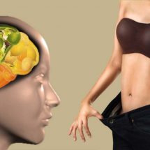 This Is What Happens to Your Brain When You Start a Diet