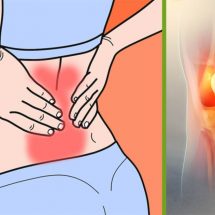 Top 7 Herbs to Relieve Arthritis and Joint Pain