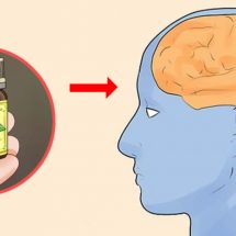 Why Using Essential Oil Is Important for Your Brain