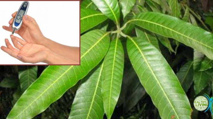 How to Use Mango Leaves to Help Treat Diabetes