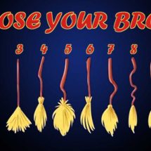 Choosing Your Broom Will Determine the Type of Which You Are