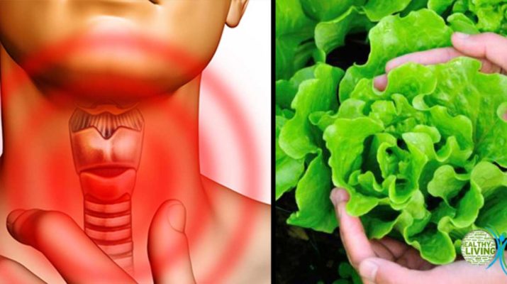 Foods to Eat and Avoid with an Underactive Thyroid