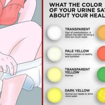 What Does the Color of Your Urine Say About Your Health