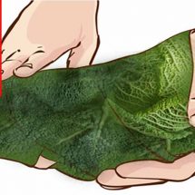 Wrap Your Leg with Cabbage for 1 Hour and This Will Happen to Your Joint Pain