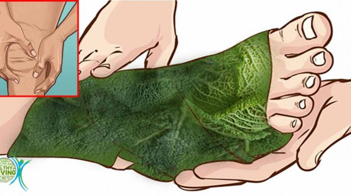 Wrap Your Leg with Cabbage for 1 Hour and This Will Happen to Your Joint Pain