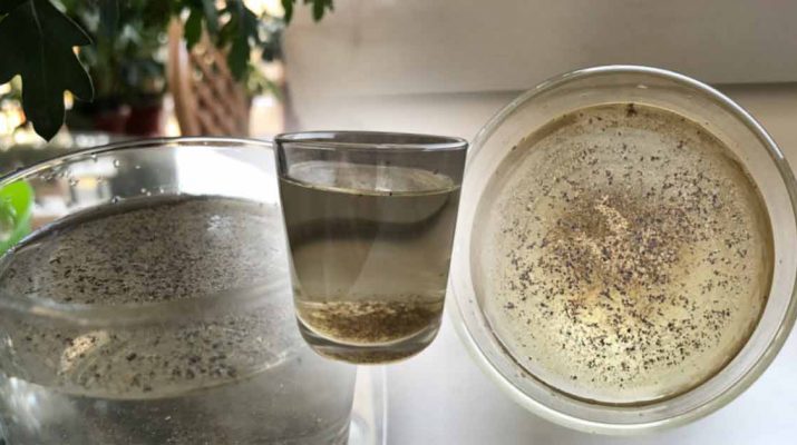 She Drank Black Pepper for a Month, and the Results Are Shocking
