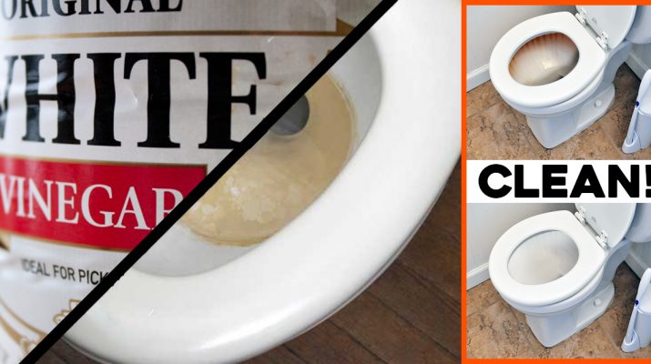 He Pours Vinegar in the Toilet Tank and the Result Is Genius!