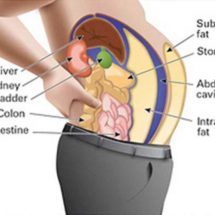 Toxins Stored In Your Fat Cells Are Making You Fat And Swollen. Here’s How To Cleanse Them