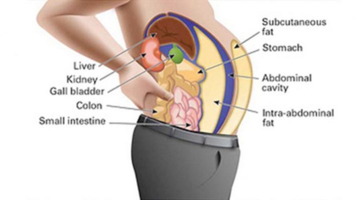 Toxins Stored In Your Fat Cells Are Making You Fat And Swollen. Here’s How To Cleanse Them