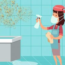 Get Rid of Mold as Soon as Possible – It Can Seriously Damage Your Health!