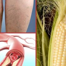 This Just In: Corn Silk Is Incredibly Healthy to Consume [Benefits and Ways to Use]