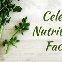 Eating Celery Is Going to Change Your Life [9 Pros About Celery That Are Going to Make You Start Consuming It]