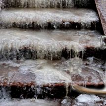 12 Creative Ways to Use Baking Soda for Your Yard