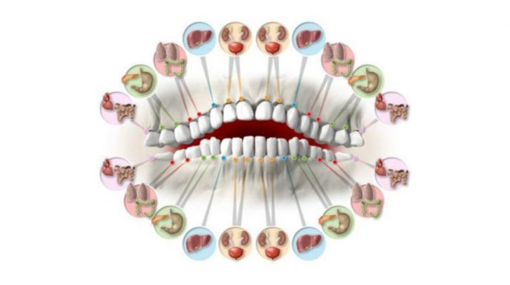 Each Tooth Is Associated with an Organ in the Body – Pain in Each Tooth Can Predict Problems in Certain Organs