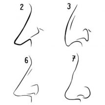 This Is What the Shape of Your Nose Reveals About Your Personality