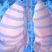 15 Plants & Herbs That Can Boost Lung Health, Heal Respiratory Infections & Repair Pulmonary Damage