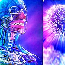 Study: Fasting for 72 Hours can Regenerate the Entire Immune System of Humans!