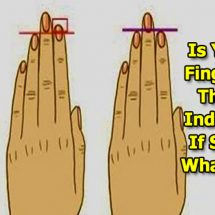 Is Your Ring Finger Longer Than Your Index Finger? If So, This Is What It Means