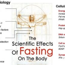 The Scientific Effects Of Fasting On The Body