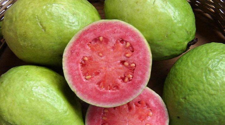 Guava-Contains-4x-More-Vitamin-C-Than-An-Orange,-And-10x-More-Vitamin-A-Than-A-Lemon