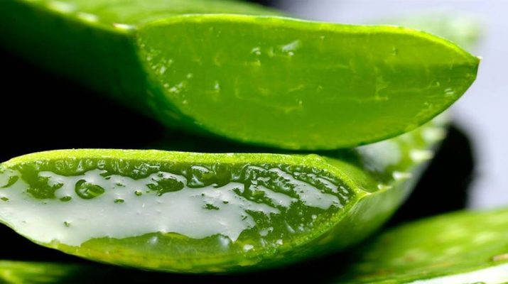 What-Aloe-Vera-Really-Does-To-The-Body-And-Why-The-Egyptians-Called-It-The-Plant-Of-Immortality